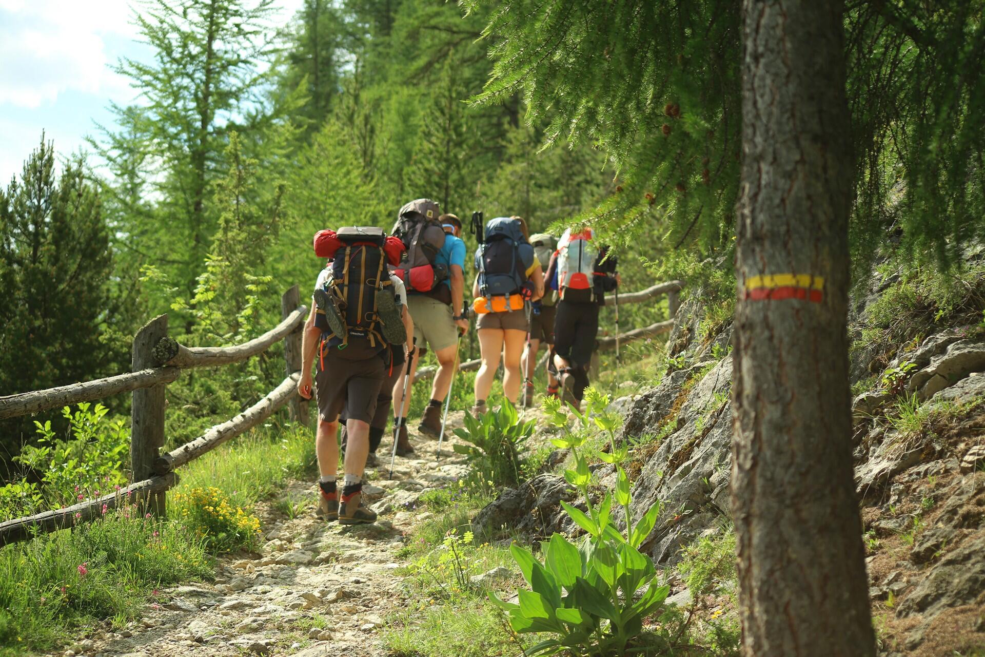 DECATHLON TRAVEL picture