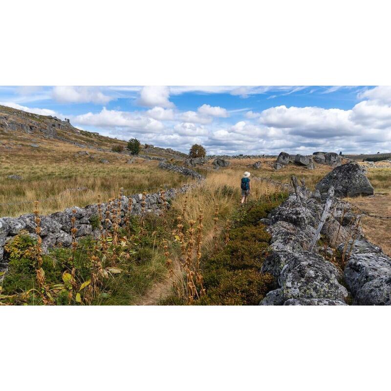 Een pauze van het wandelen in Aubrac