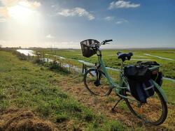 Découverte de la Baie de Somme à vélo