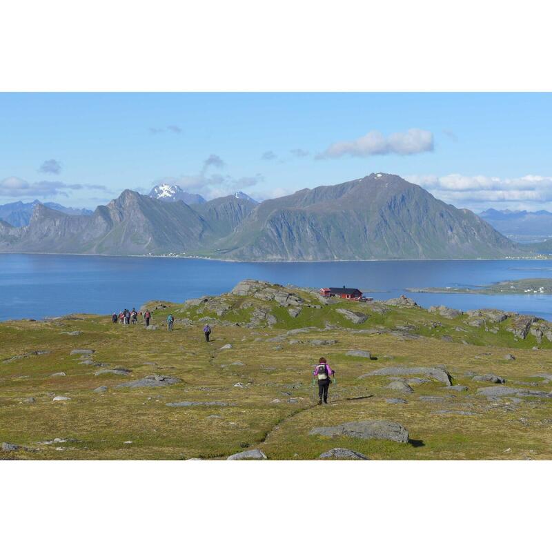 Trek in Lofoten