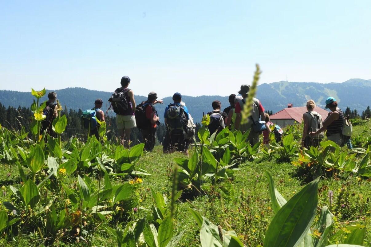 Multi-activiteiten op het platteland van de Jura 1/1