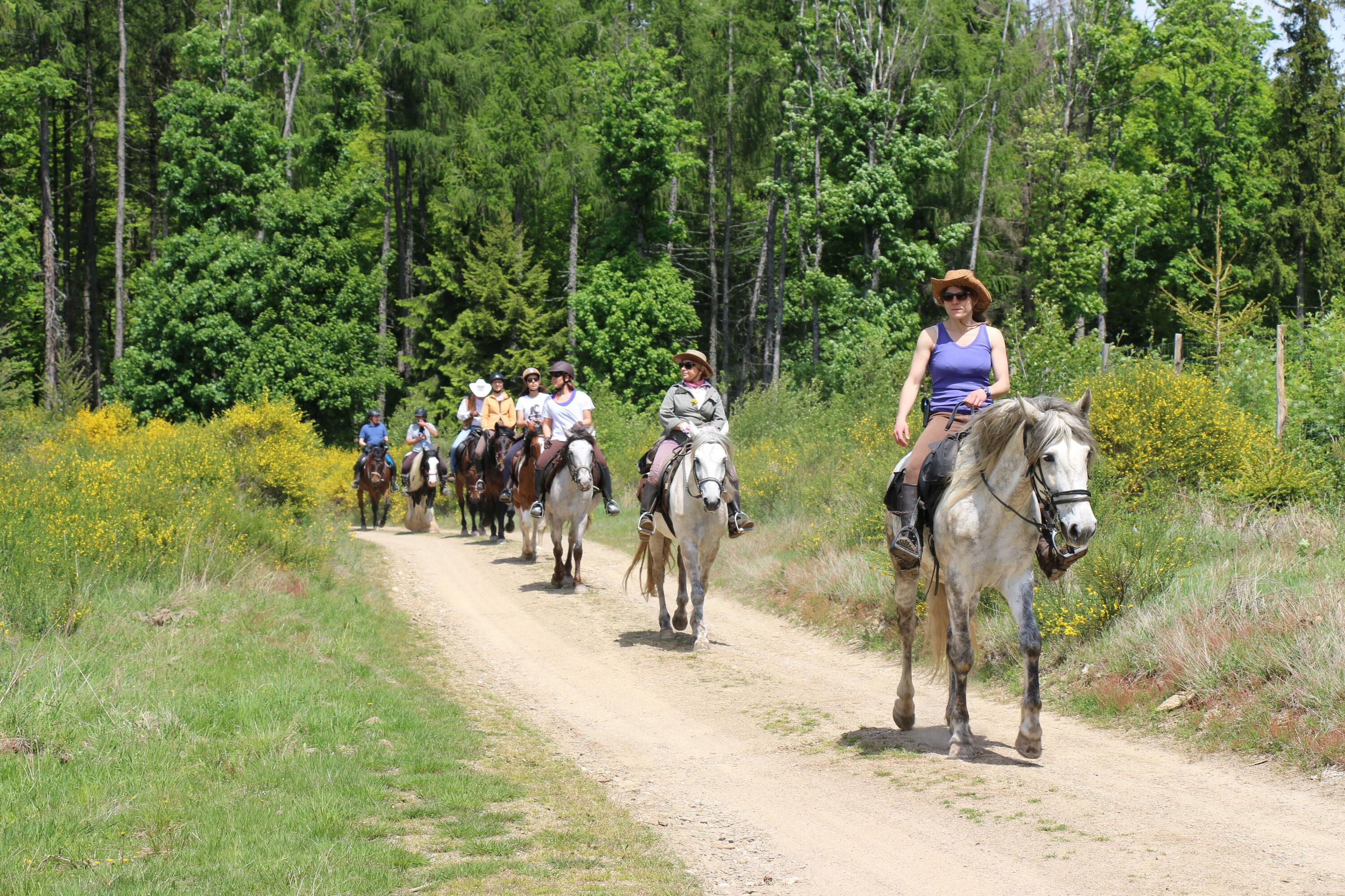 DECATHLON TRAVEL De bergen van de Elzas te paard
