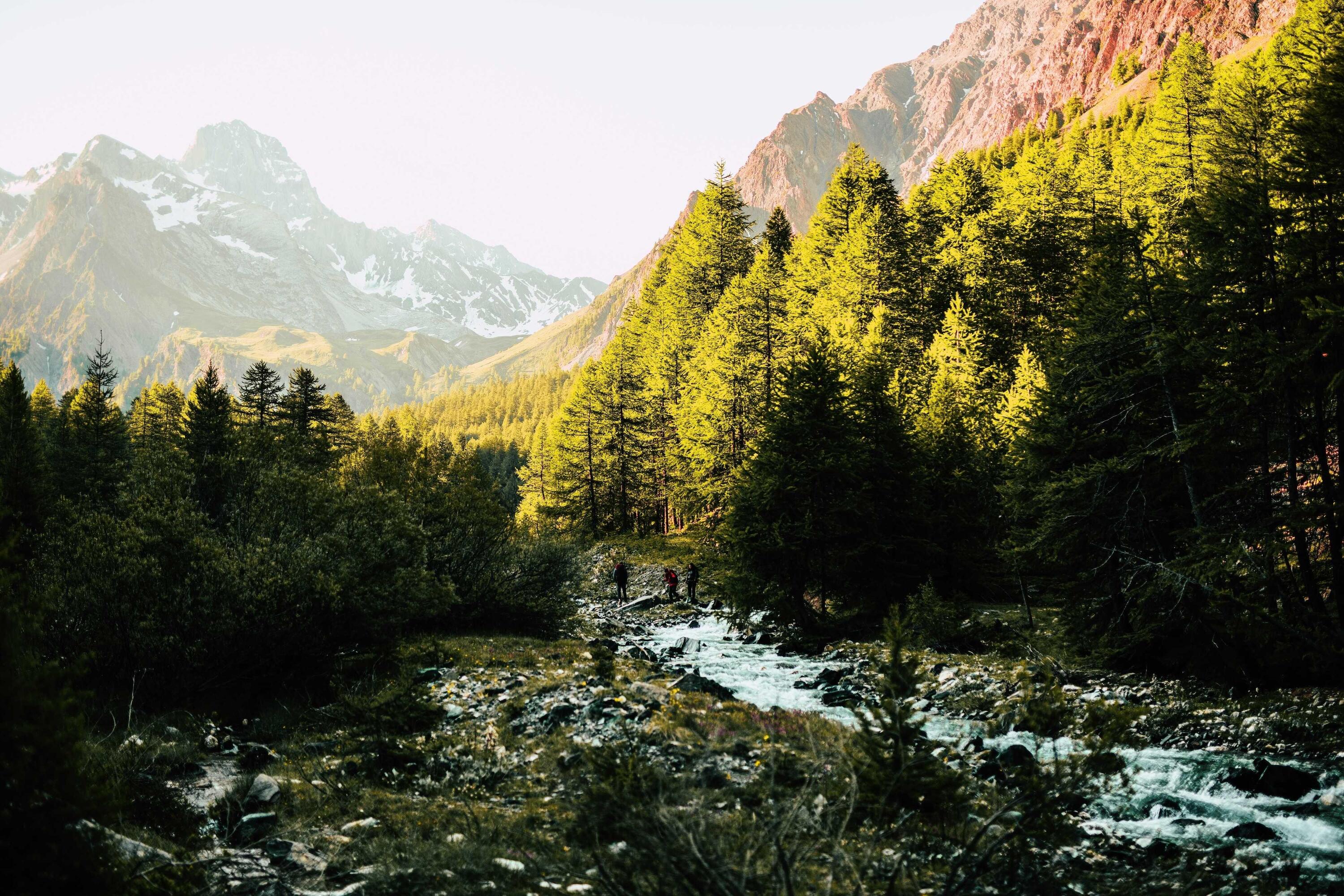 DECATHLON TRAVEL picture