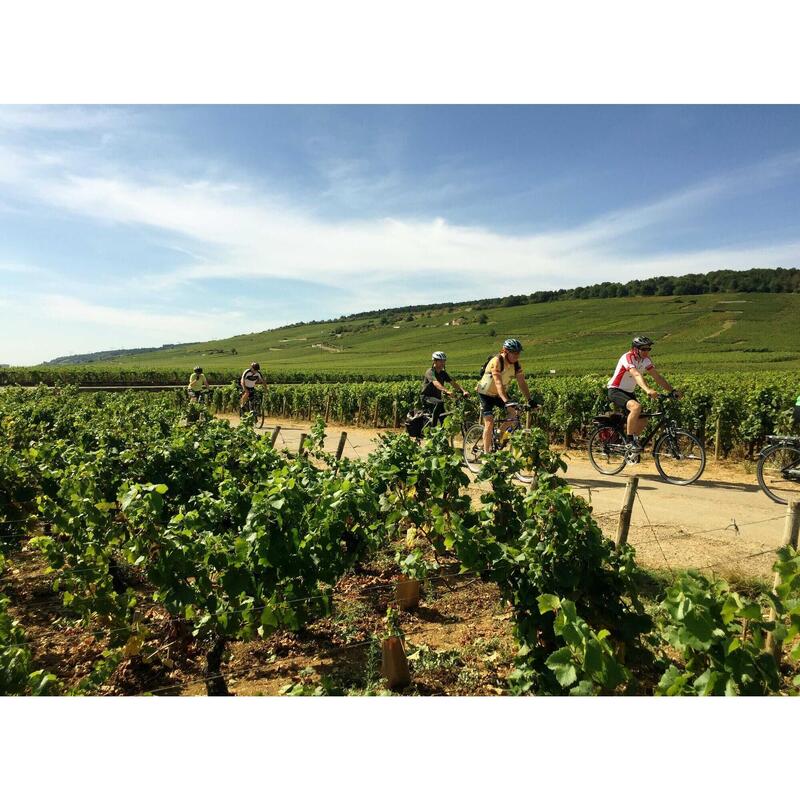 Fietsen, natuur en gastronomie in Bourgondië