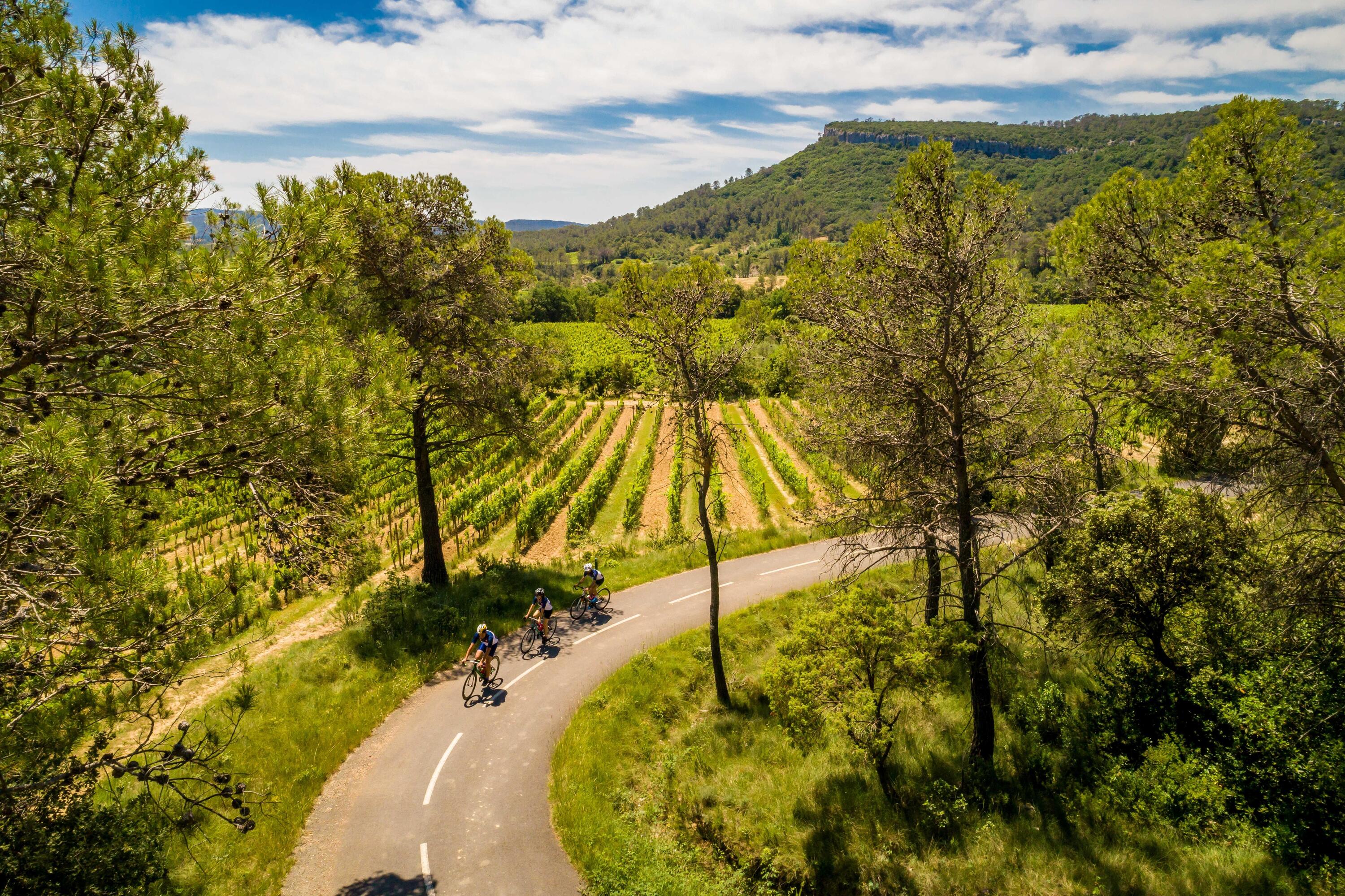 DECATHLON TRAVEL Fietsen door de Provence