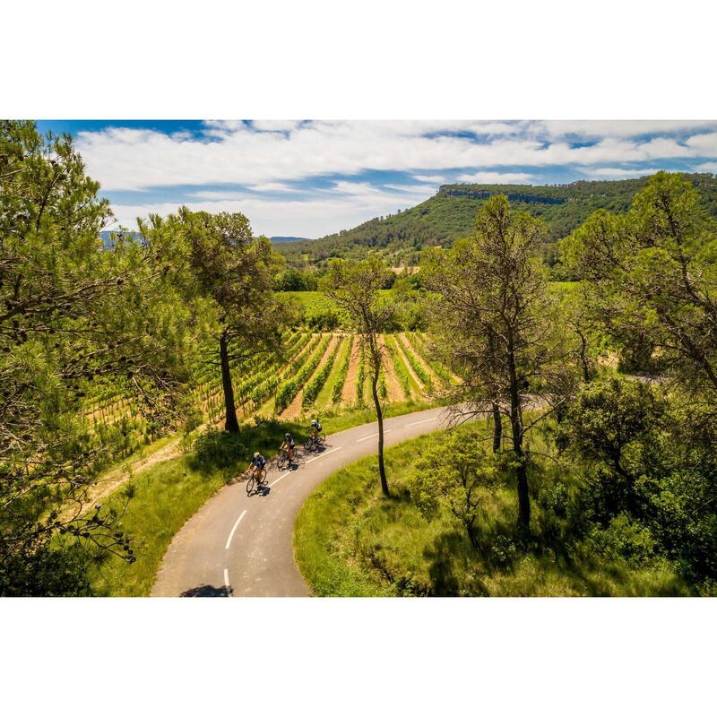 Fietsen door de Provence