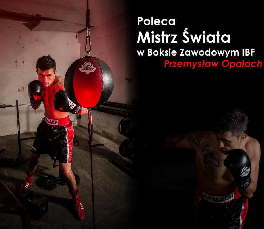 Reflexní míč, speedbag DBX BUSHIDO PR 5/5