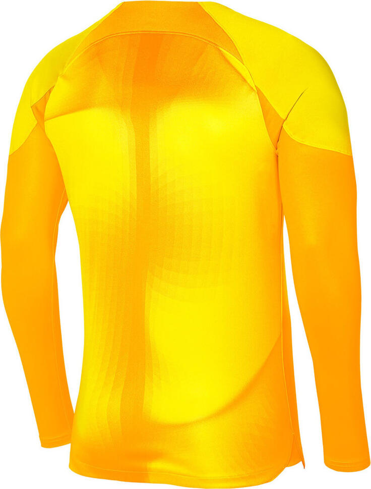 Koszulka sportowa męska Nike Dfav Gardien IV GK