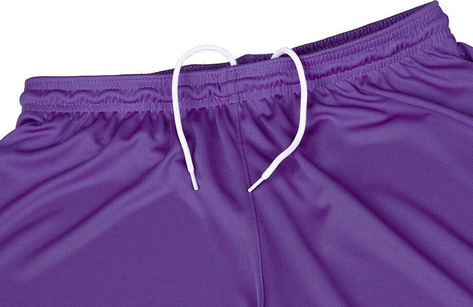 Short Nike Park III viola da uomo 4/4