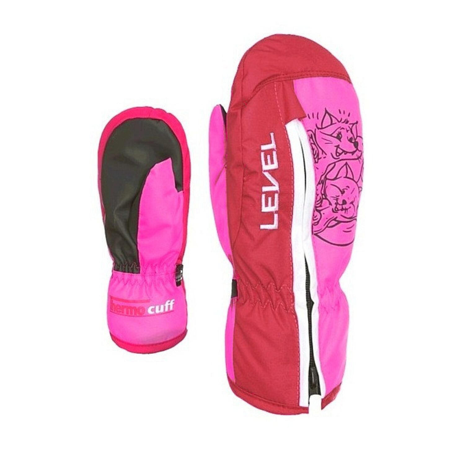 LEVEL Level Dudy skihandschoenen voor kinderen