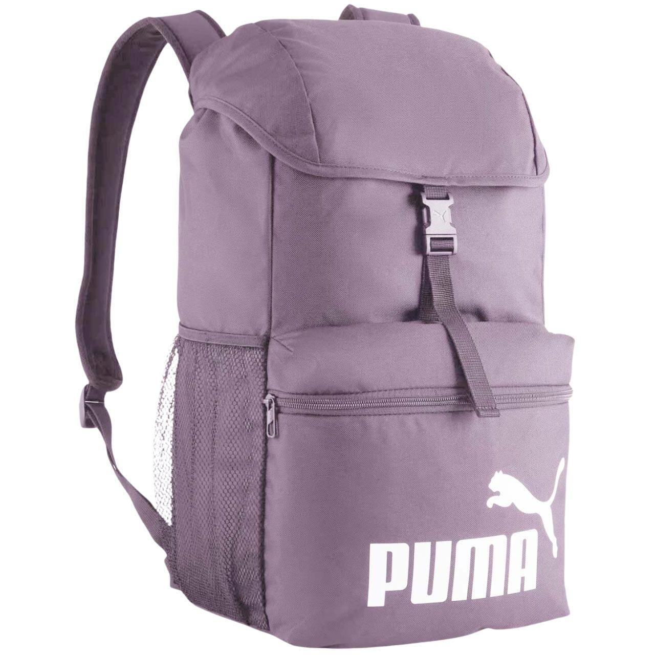 PUMA picture
