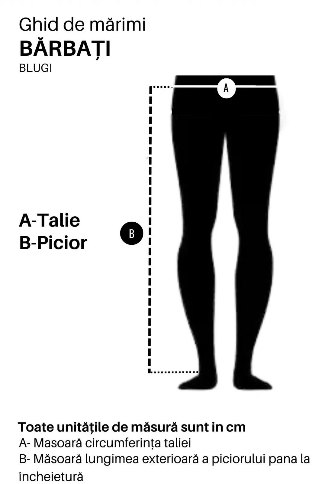 Pantaloni barbati U.S. POLO ASSN 3/4