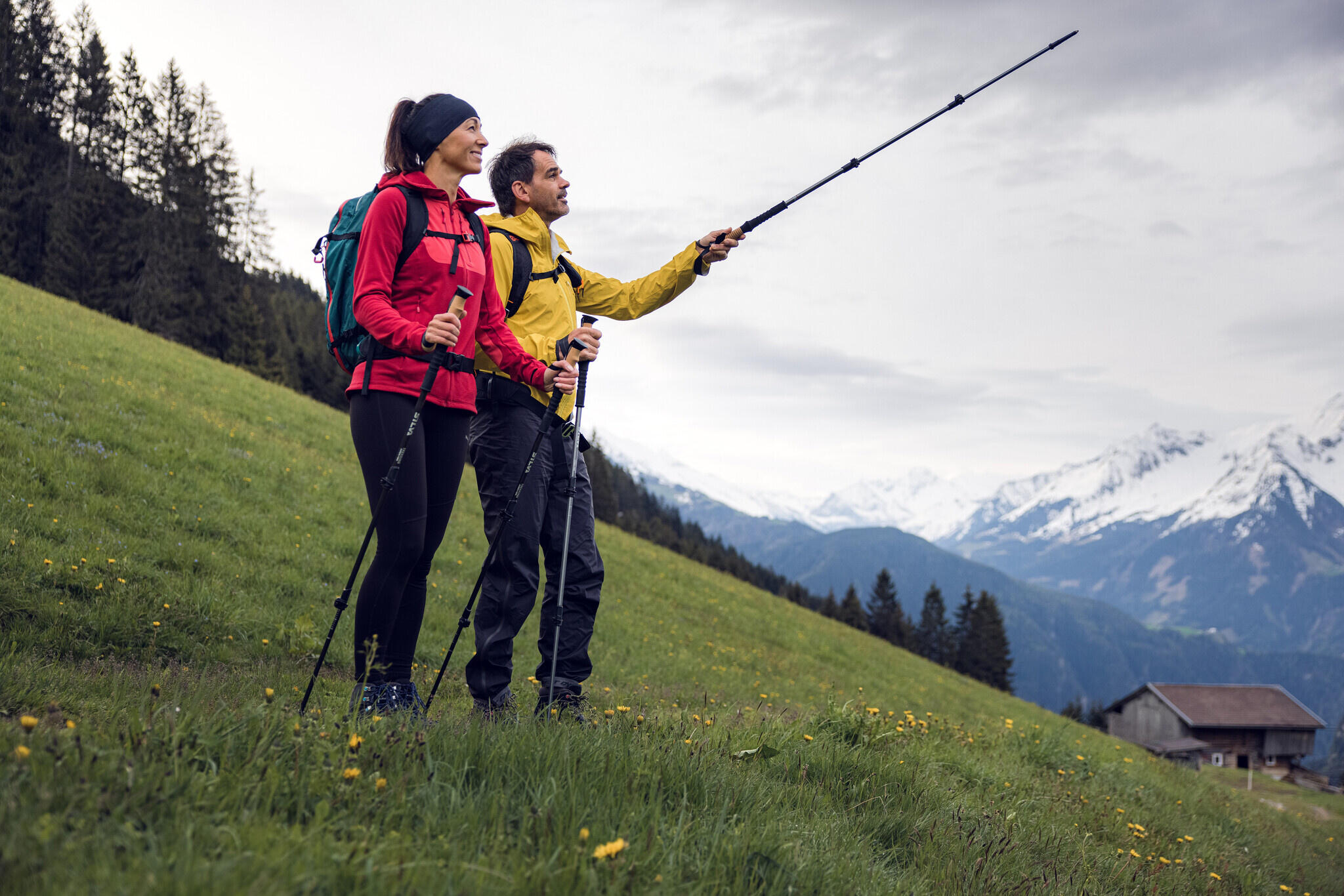 Silva Trekking poles carbon 3/7