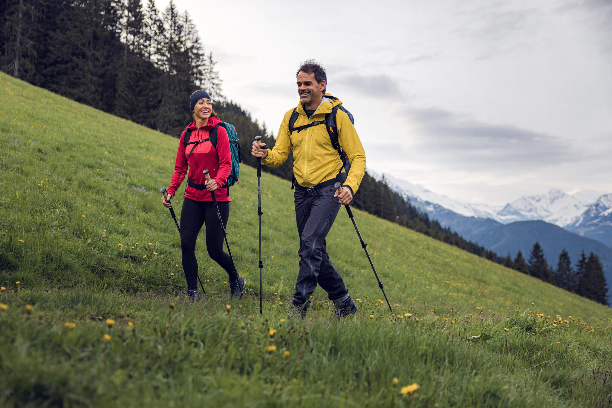Silva Trekking poles carbon 4/7