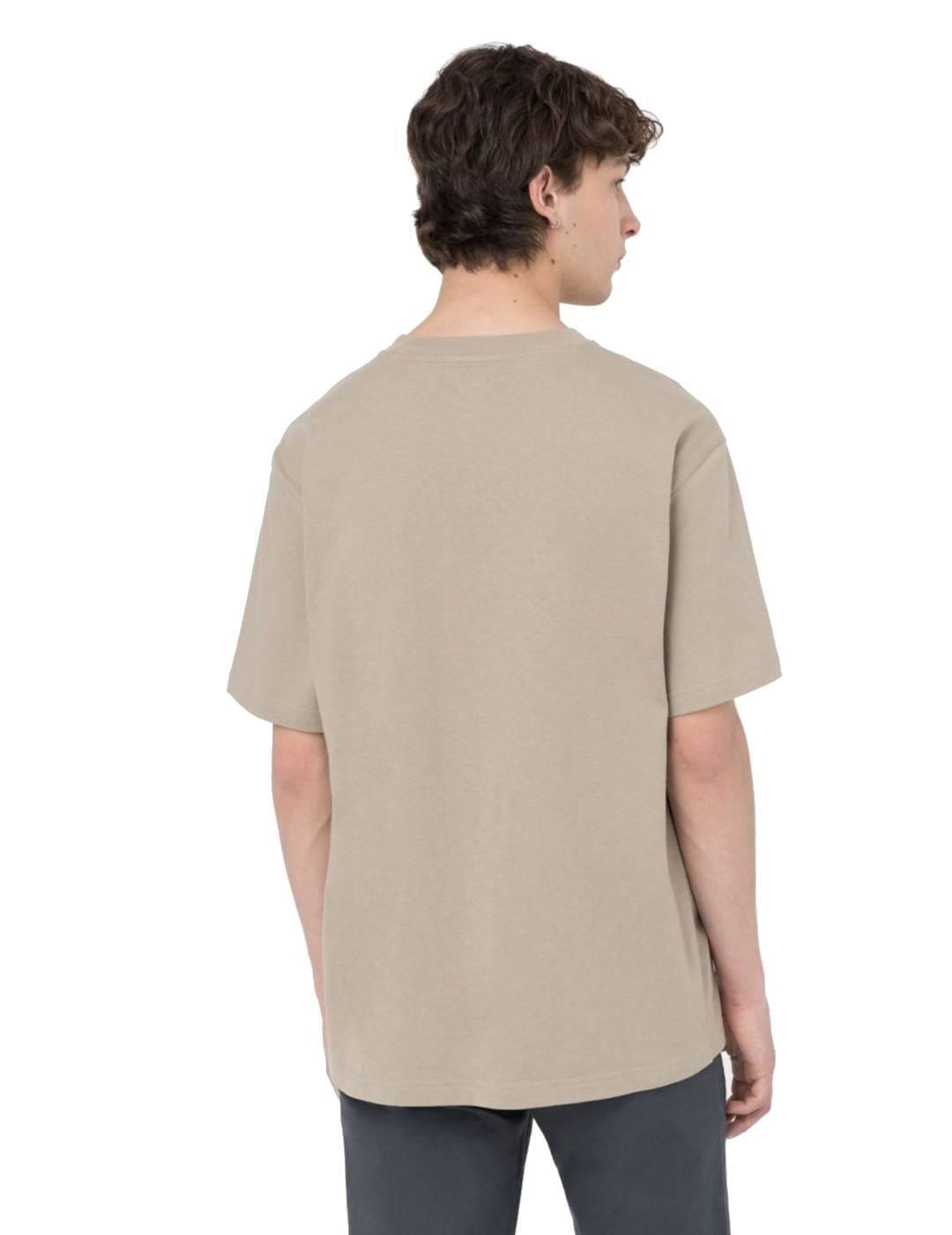 Camiseta Masculina Dickies Porterdale Marrom 4/5