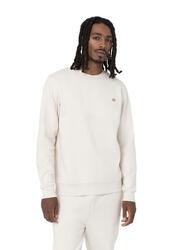 Sweatshirts / Vestes pour homme Dickies Blanc