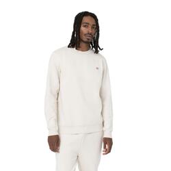 Sweatshirts / Vestes pour homme Dickies Blanc
