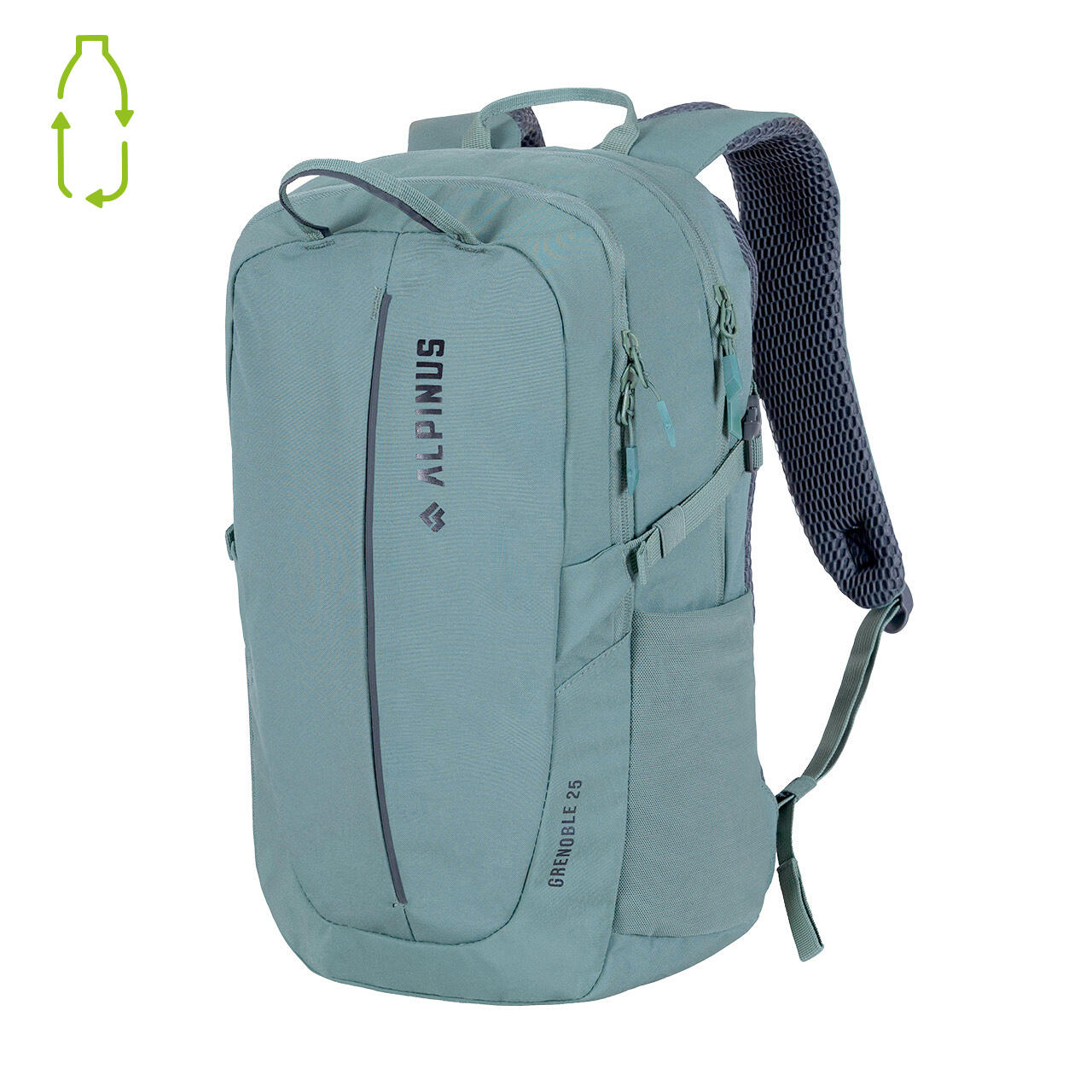 ALPINUS picture