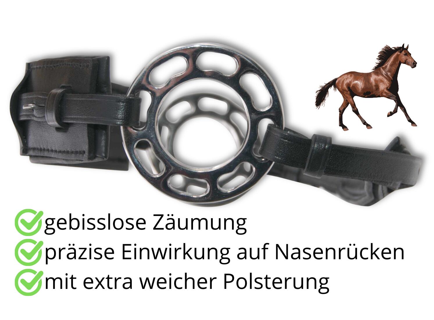 AMKA Hackamore 2/4