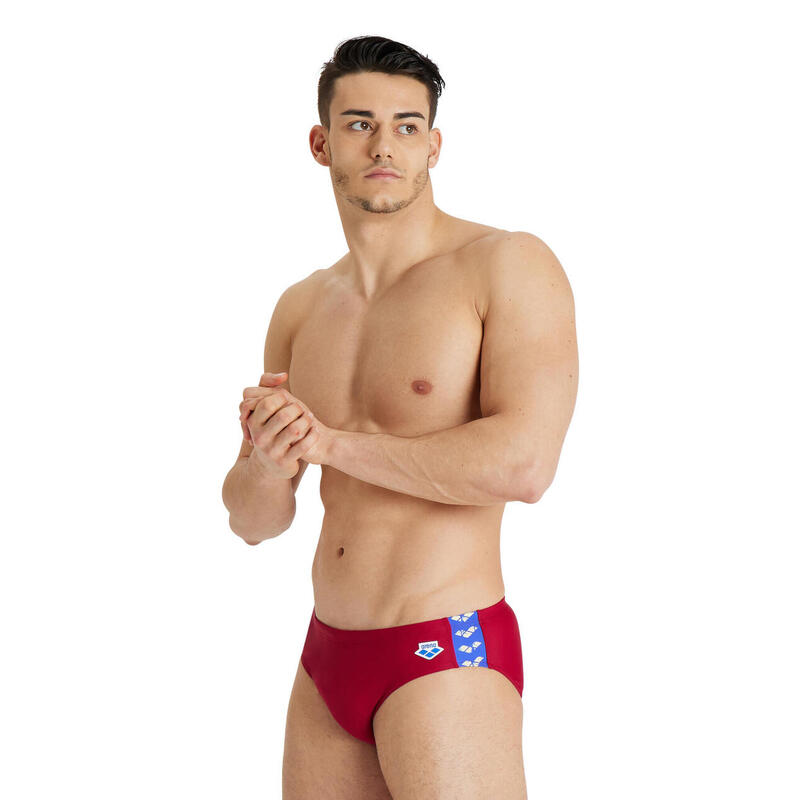 Slip de baie Arena Men's Icons Swim Briefs Solid