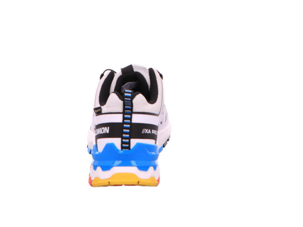 Outdoorschuh Schuhe XA PRO 3D V9 GTX W Luna 3/7