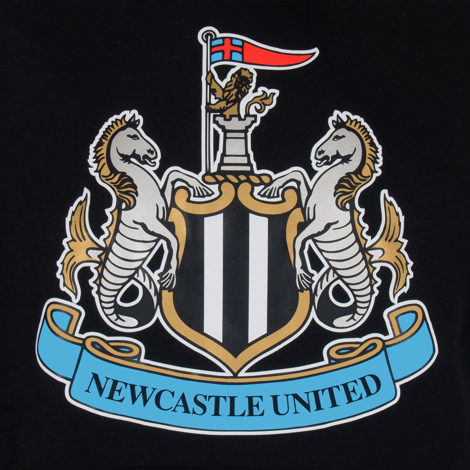 Newcastle United Boys Hoody Zip Fleece Kids OFFICIAL Football Gift 3/5