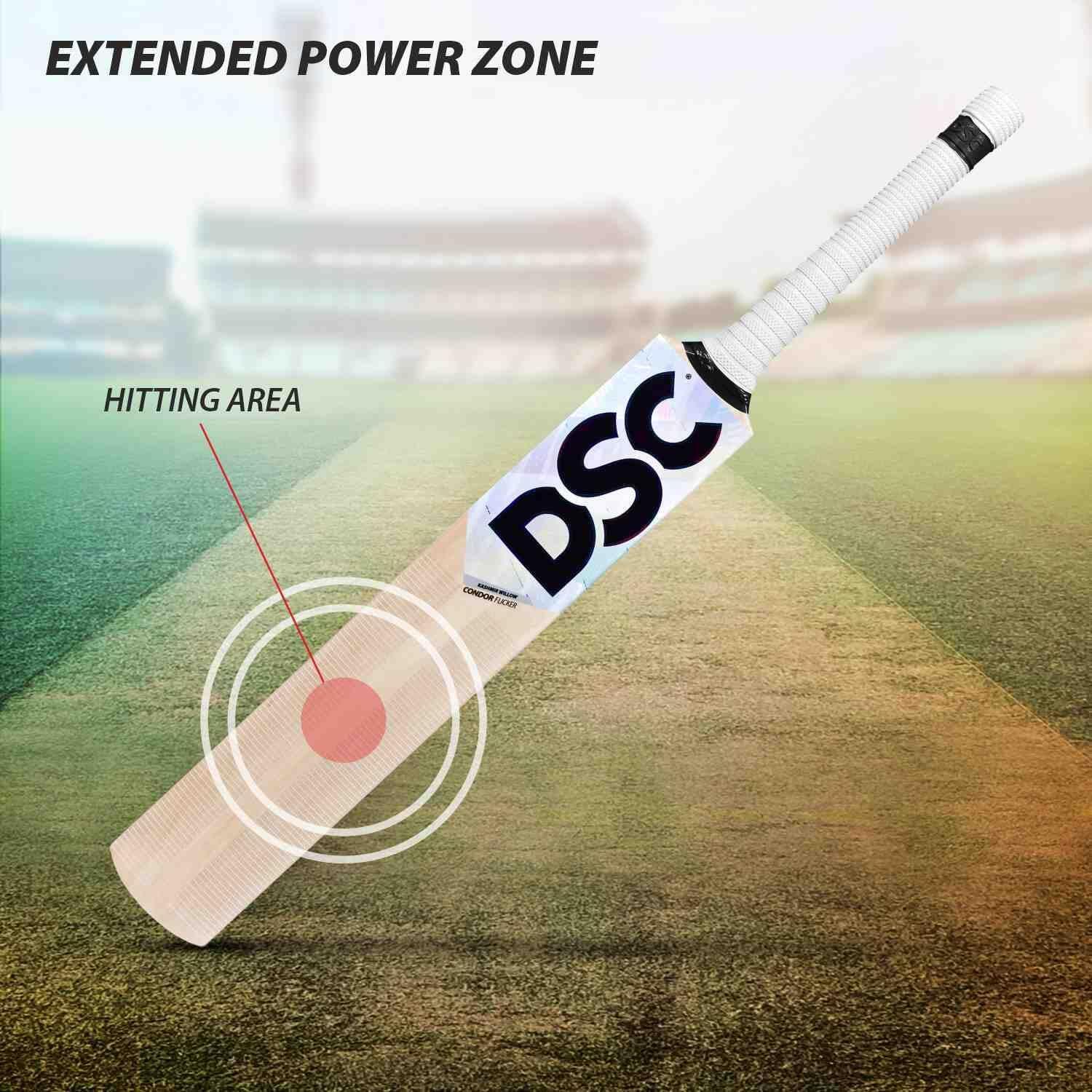 DSC Condor Flicker Kashmir Willow Cricket Bat | Farbe: Multicolor | Größe: 2 3/5