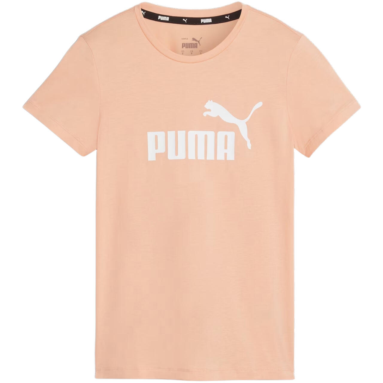 pêche