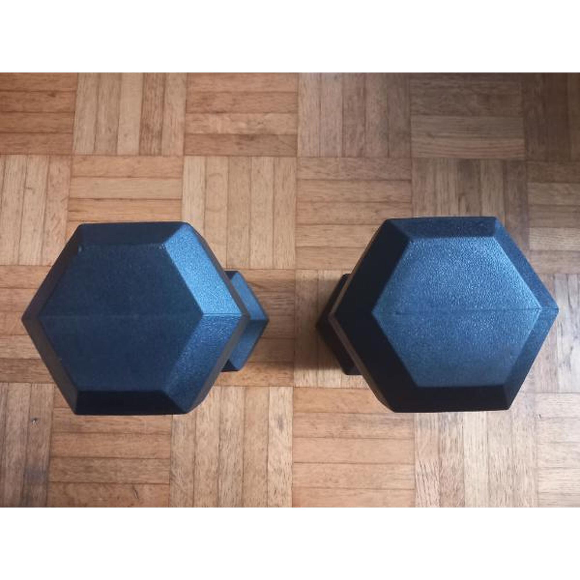 Tussen Particulieren - BodyTone Dumbbells 5kg 2x