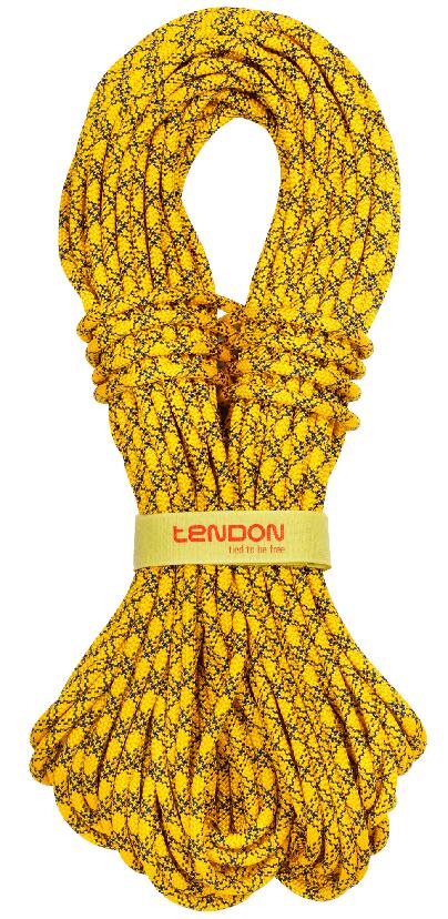 TENDON picture