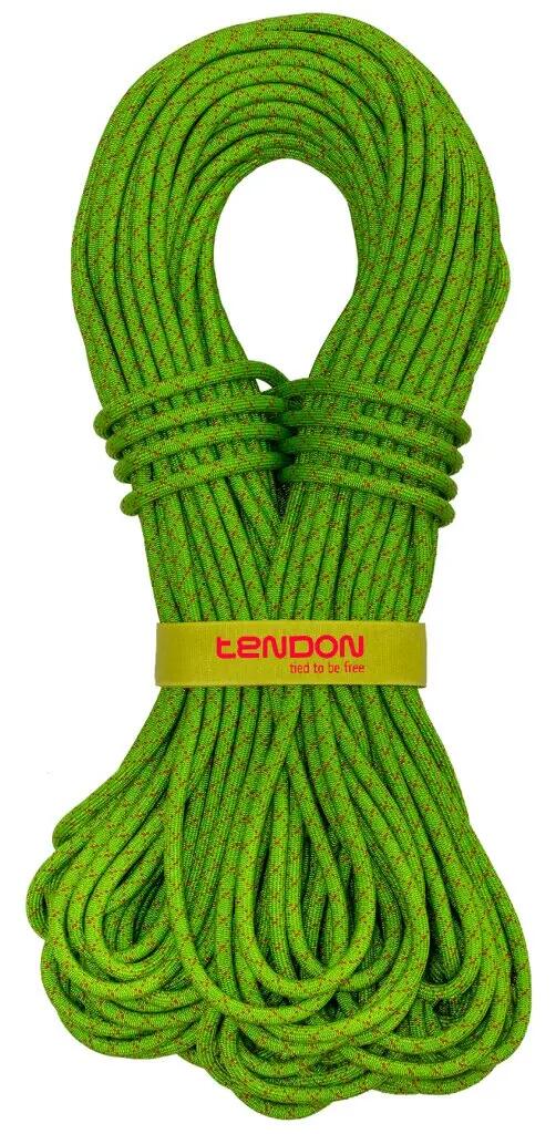 TENDON picture