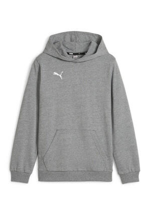 Sweat À Capuche TEAM GOAL CASUALS Enfant (Gris / Argenté)