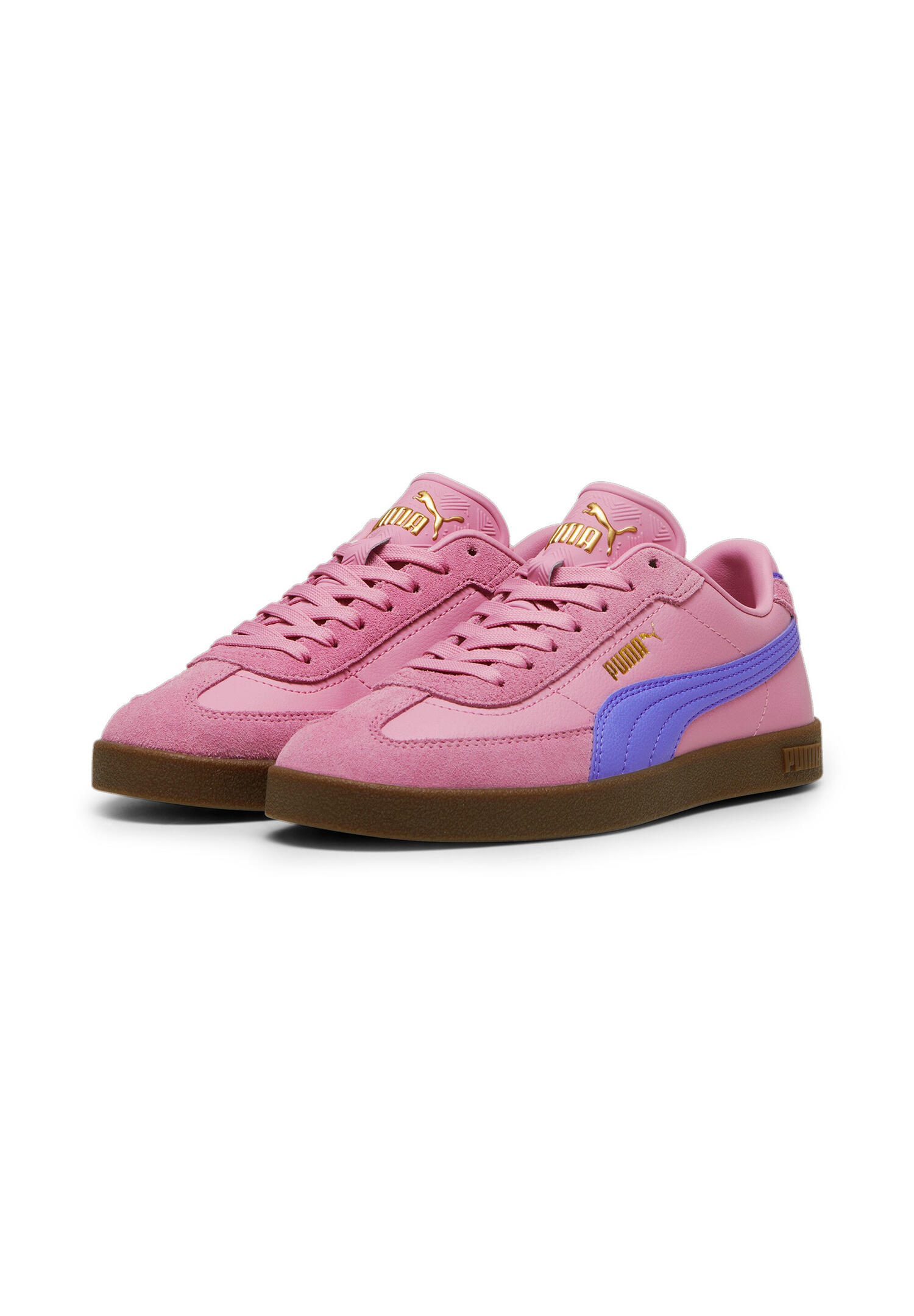 PUMA picture