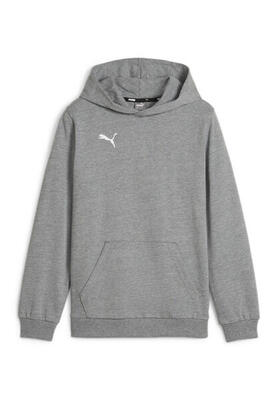 Felpa Con Cappuccio Bambini Puma Team Goal Casuals Grigio Argento