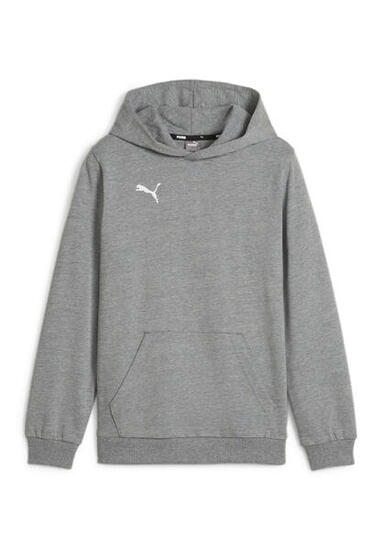 Bluza dla dzieci Puma Team Goal Casuals Hoddy