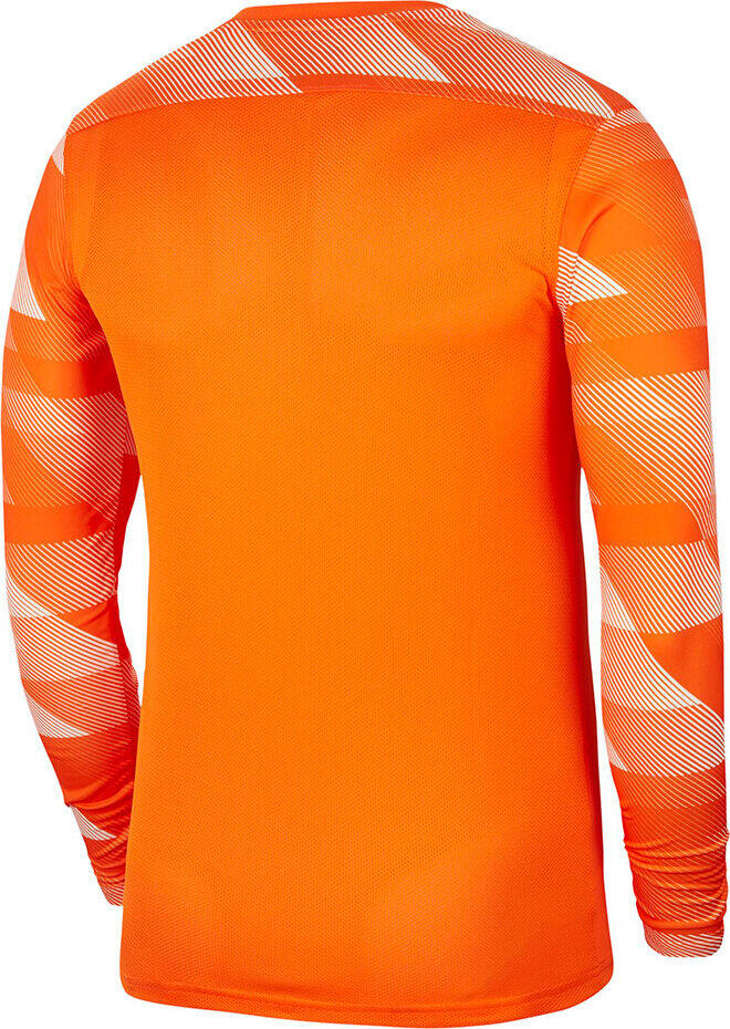 Bluza bramkarska męska Nike Dry Park IV JSY LS GK