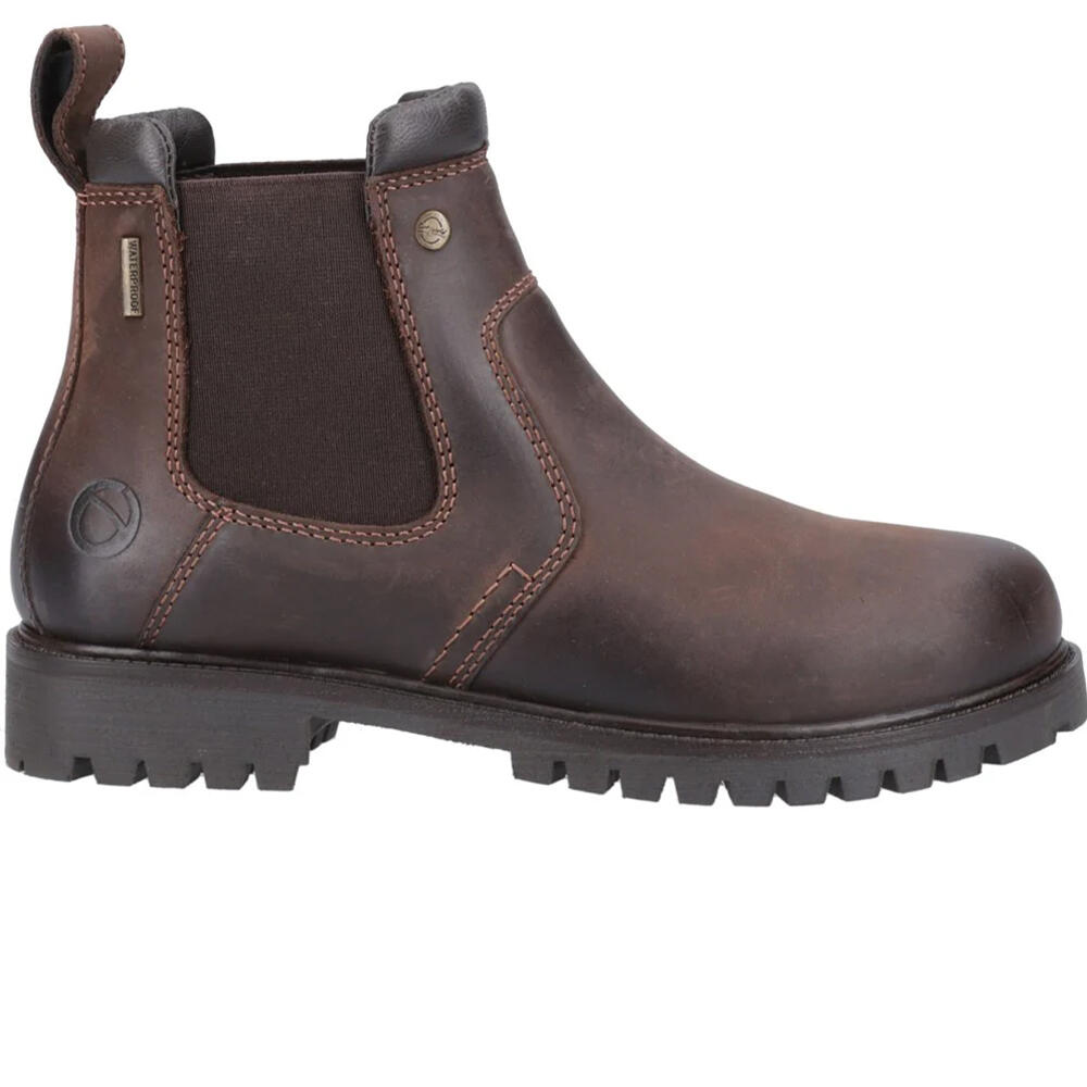Womens/Ladies Pamington Leather Ankle Boots (Brown) 4/5