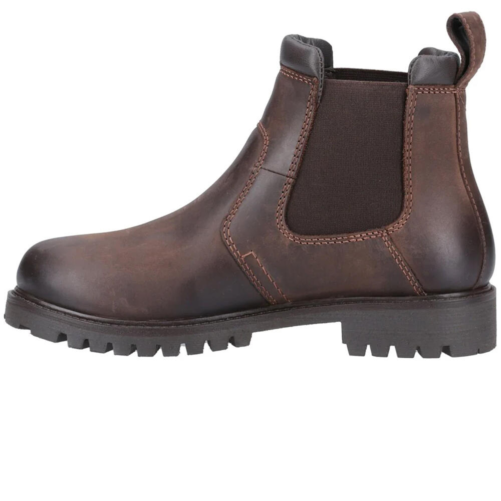 Womens/Ladies Pamington Leather Ankle Boots (Brown) 3/5