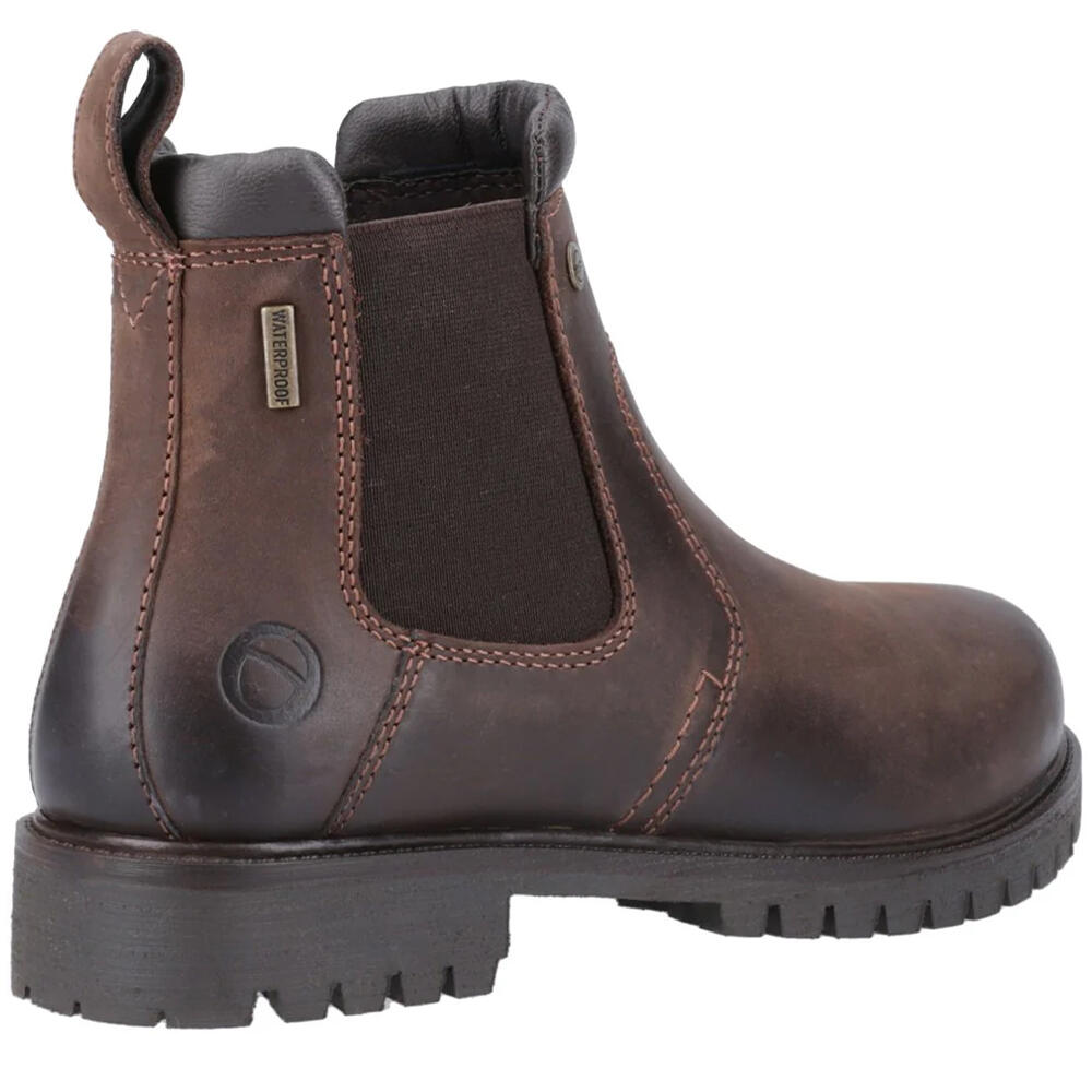 Womens/Ladies Pamington Leather Ankle Boots (Brown) 2/5