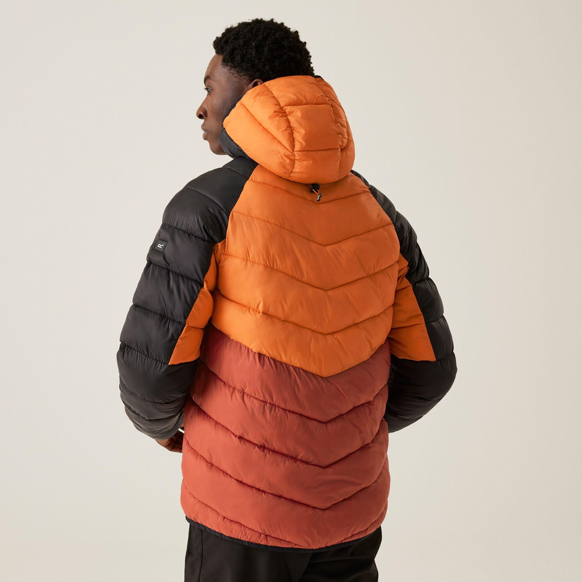 Veste - Dalent homme 2/7