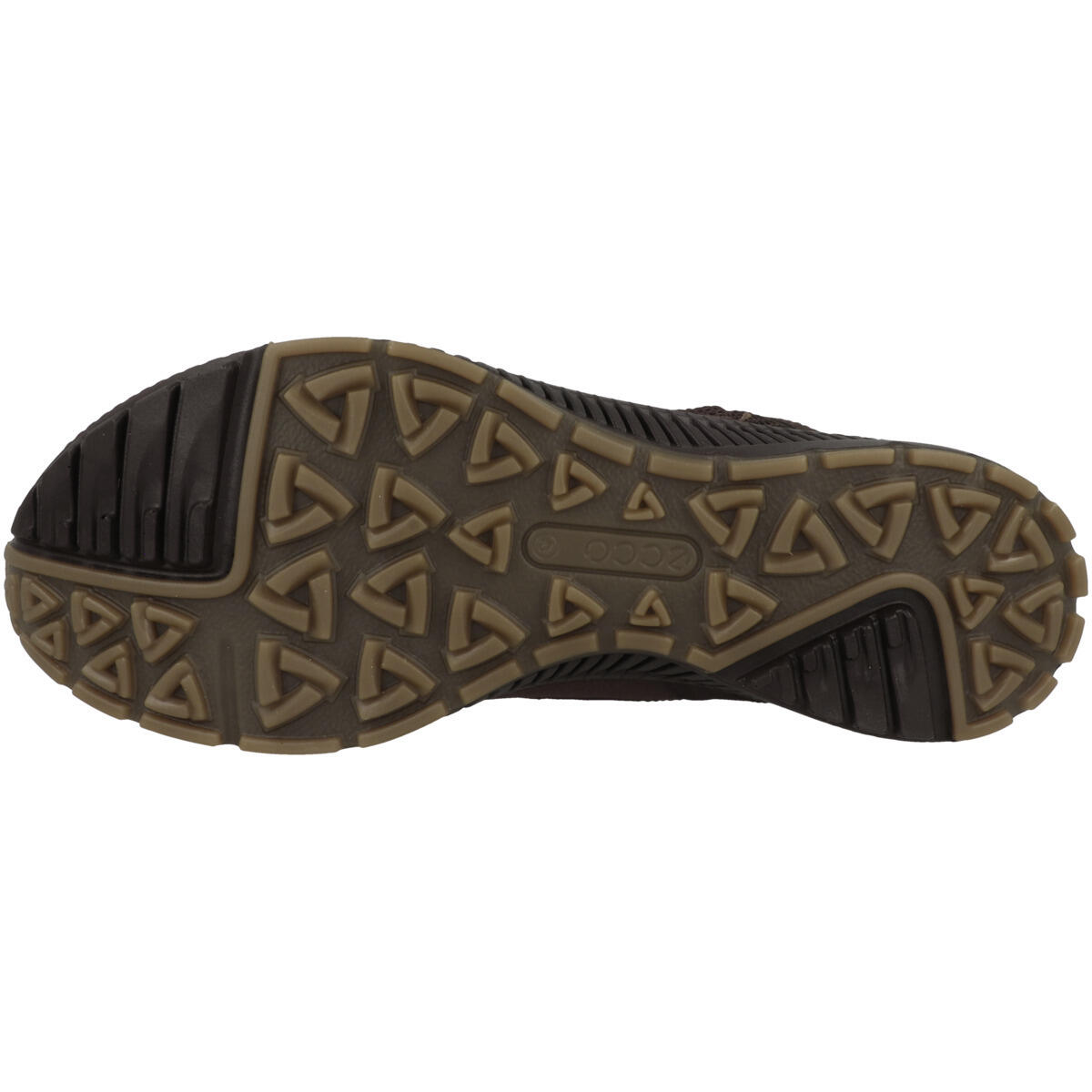 Outdoorschuhe Terracruise II Herren 5/7