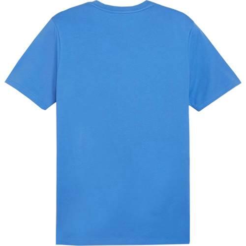 Koszulka sportowa męska Puma Team Goal Casuals