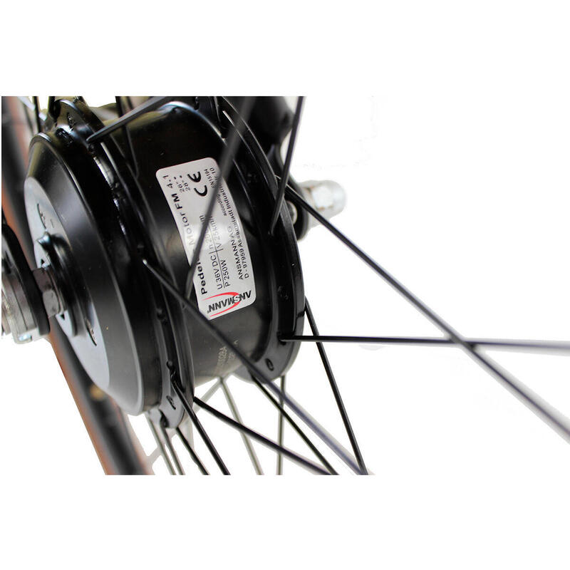 Bicicletă electrică de oraș Dolce Vita by Canellini VINTAGE bărbați cu genți