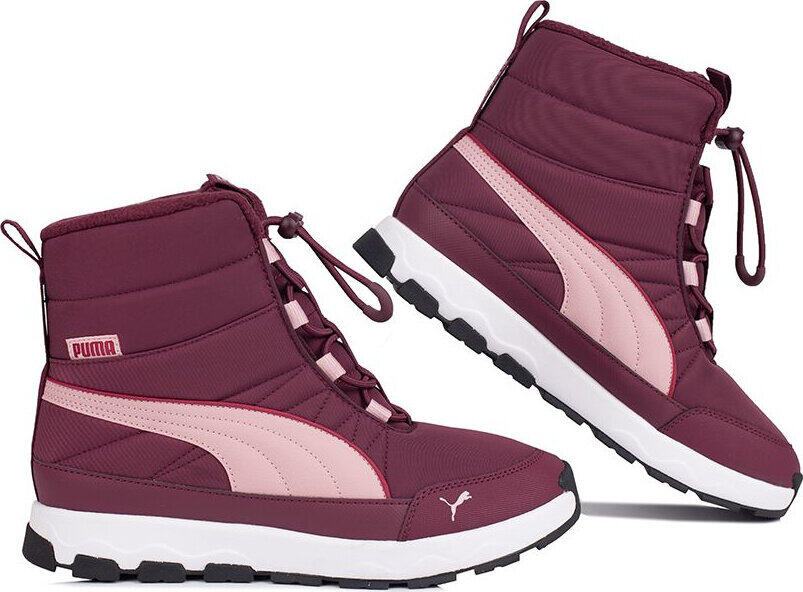 PUMA picture