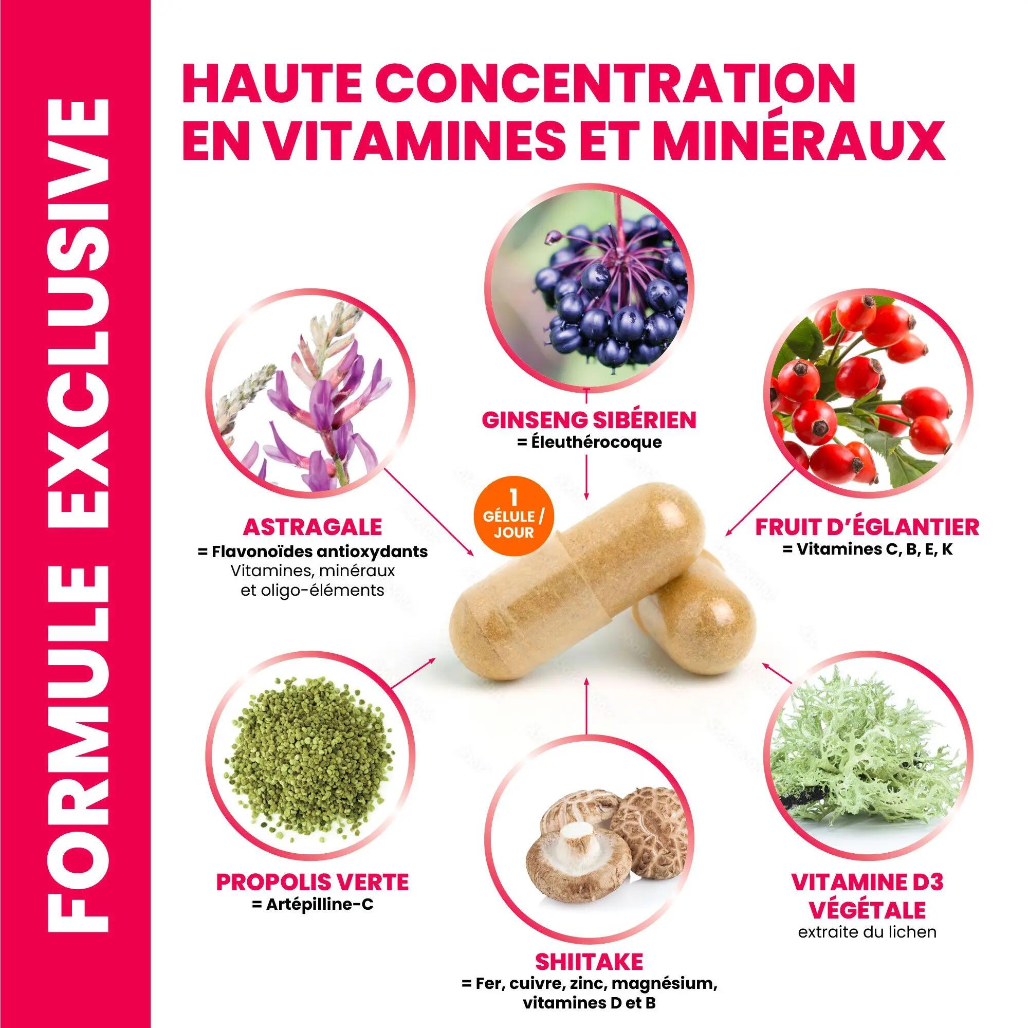IMMUNITE + | Défenses Immunitaires & Anti-Fatigue | 5 plantes 100% Naturelles 6/6
