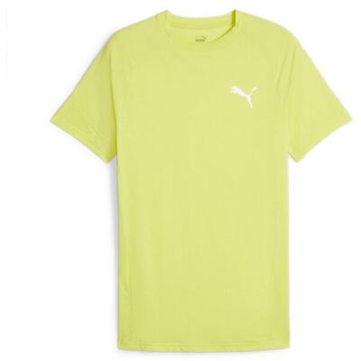 T-shirt puma evostripe tee. groen. mannen
