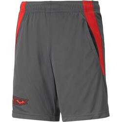 Shorts Puma X Batman Training Shorts Jr, Gris, Enfants