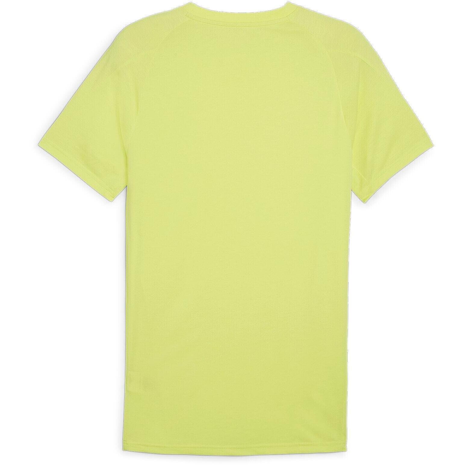 T-shirt Puma Evostripe Tee, Vert, Hommes 2/2