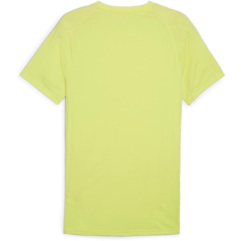 Tricou barbati Puma Evostripe Tee, Verde
