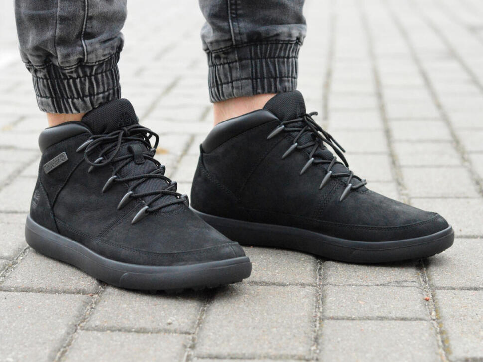 Buty lifestyle męskie Timberland Ashwood Park A245M
